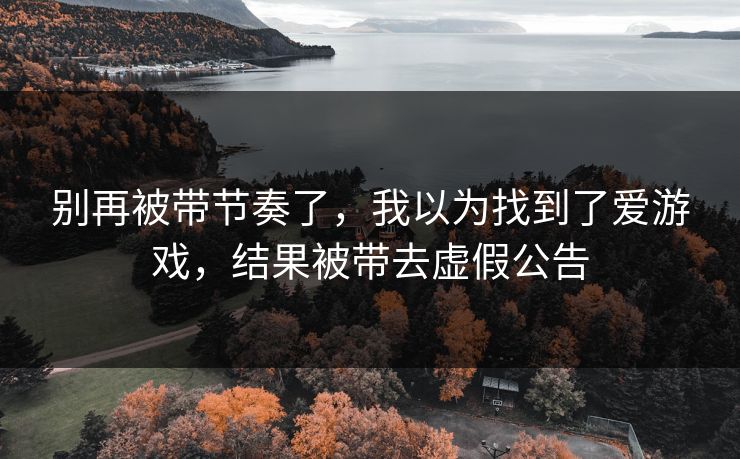 别再被带节奏了,我以为找到了爱游戏,结果被带去虚假公告