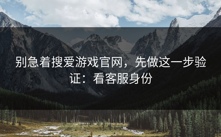 别急着搜爱游戏官网，先做这一步验证：看客服身份